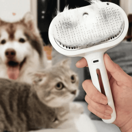ThePetCo™  3-in-1 GroomBrush