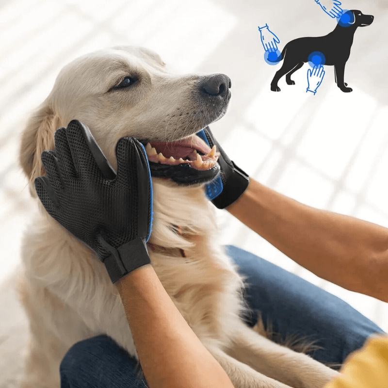 using grooming mitt on god to remove loose fur and massage coat 