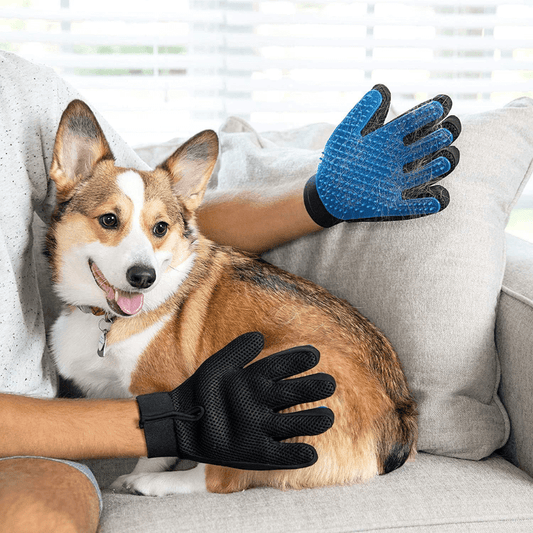 pet grooming mitt creating lather during wet grooming