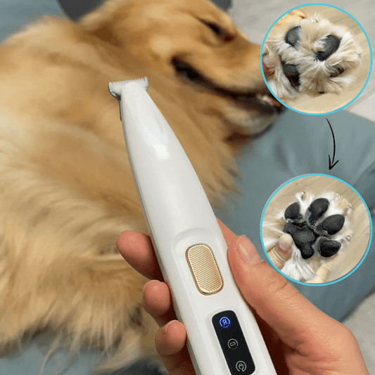 paw perfect cordless per trimmer front view