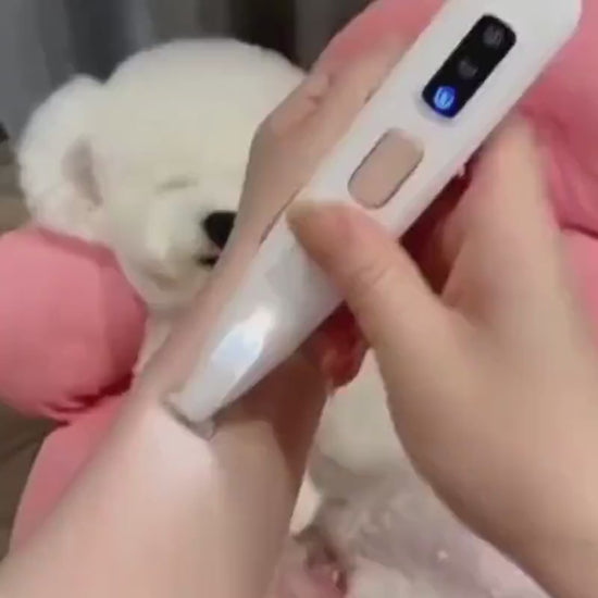 build in LED light on paw perfect pet hair trimmer