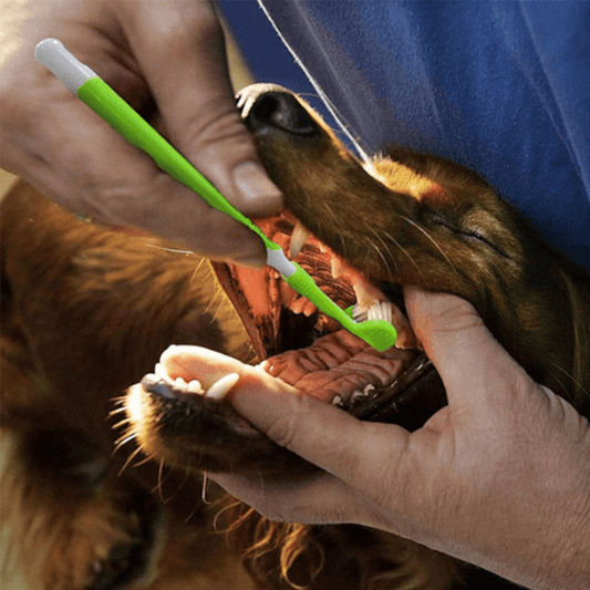 triple clean 3-side pet tooth brush for quick 360-degree cleaning